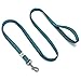 Embark Illuminate Reflective Leash for Night Walking - 5 Ft Long, 3/4 Inch Width, Medium Dog Leash, Reflective Material, Light Up (Blue)