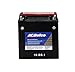ACDelco Gold ATX16BS1 (88863881) 12 Month Warranty Powersports AGM JIS 16-BS-1 Battery