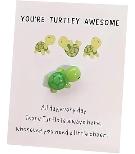 Pocket Hug Grenouille Verte - Mini Animal Réconfort - Carte Encouragement - Cadeau Mignon Cadeau Rentrée Scolaire Grenouille