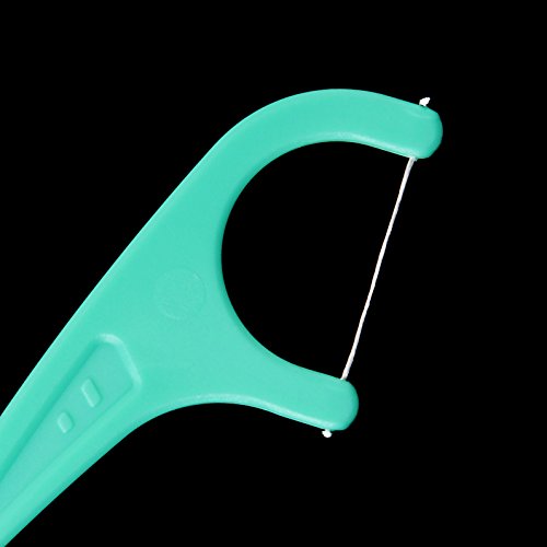 FAMILIFE 60 Counts Mint Dental Floss Pick with Travel Handy Case Strong thread Threaders
