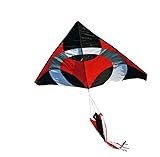 Giant Delta Ring iKite Delta Shape Premium Large Kite with Line and Handle