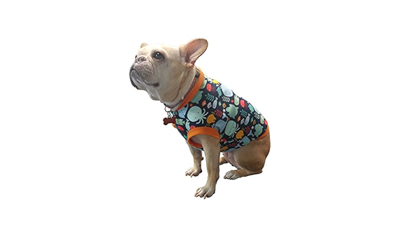 french bulldog clothes amazon