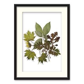 Black Paper Framed Canvas Wall Art for Living Room, Bedroom Simple Beautiful Leaves Canvas Prints for Home Decoration Ready to Hanging - 23x31 inches