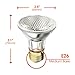 Xtricity PAR20 Halogen Narrow Flood Light Bulb, 50W, Dimmable, 700 Lumens, E26 Medium Base, 2700K Warm White, 120V, Ideal for Range Hood Replacement, (6 Pack)