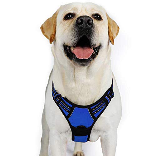 rabbitgoo Dog Harness, NoPull Pet Harness with 2 Leash Clips