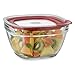 Rubbermaid 11.5 Cup Square Glass Food Storage Containers with Easy-Find Lid