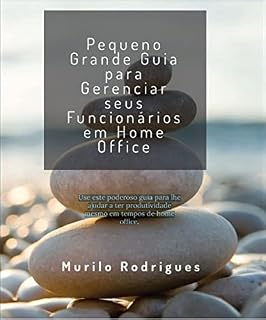 Livro Pequeno Grande Guia para Gerenciar seus Funcionários em Home Office