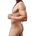 MuscleMate Premium Hot Men's Bodysuit Leopard Compression ShapeWear Jockstrap Hot Wear for Party Night, Wrestling, Fun (M)