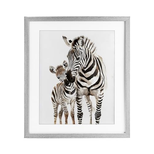 'Zebra Baby with Mother'| Framed Print Under Glass