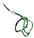 PetSafe Come with Me Kitty Harness and Bungee Leash, Medium, Lime