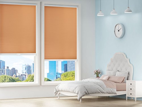 Honeycomb Blinds Cordless Light Filtering Single Cell Window Shades Blinds for Home Office 35 x 64 inch, Beige