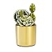 Metallic Gold, Succulent Plant Pot - 4 inch Pot Can Hold Large & Small Succulents, Cactus and Flowers - Cylindrical Modern Design - Gold for in-Style Look
