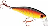 Dynamic Lures Trout Fishing Lure | Multiple BB Chamber Inside | (2) - Size 10 Treble Hooks | For Bass, Trout, Walleye, Carp | Count 1 | (Fire Craw, HD Trout 2.25 Inch)