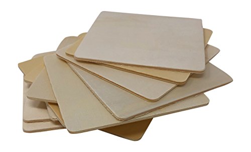12 Piece Birch Wood Craft Unfinished Blank Coasters 4 x 4 for Craft Projects with Instruction Sheet