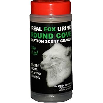 Bloed in de Urine: Oorzaken & Behandelingen
