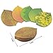 Cute Tree Leaf Sticky Notes/Paper Memo Self-Adhesive Notes, 3.93