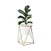 Fieren Indoor Planter pots,Succulent pots,Small Flower Pot,Indoor Plant Stand for 4.3