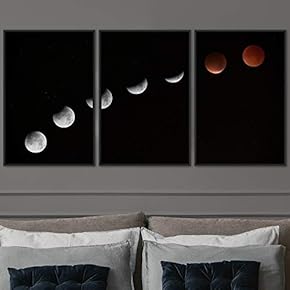 signwin 3 Piece Framed Canvas Wall Art Moon...
