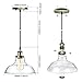 3-Pack Pendant Light Hanging Glass Ceiling Mounted Chandelier Fixture, SHINE HAI Modern Industrial Edison Vintage Style