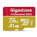 Gigastone 256GB Micro SD Card, Professional 4K Ultra HD, High speed 4K UHD gaming, Micro SDXC UHS-I U3 C10 Class 10 Memory Card with Adapter primary