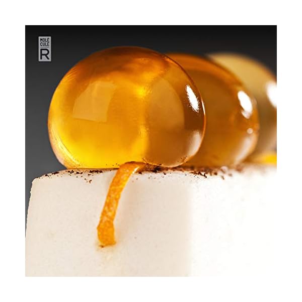 MoleculeR Molecular Gastronomy Starter Kit + FREE Recipe Book Spherification Kit CUISINE