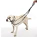 HALTI Training Leash - Multifunctional Double-Ended Dog Leash, Ideal for Anti-Pulling Dog Training. Easy to Use, Lightweight & Durable. Suitable for Medium to Large Dogs & Puppies (Size Large, Red)