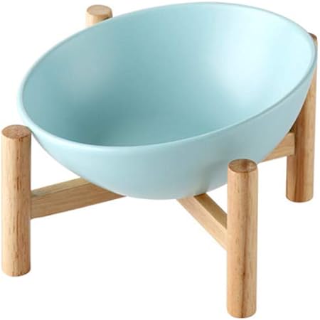 no bowl cat feeder amazon