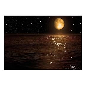 Wall26 -an Ocean View Resting Below a Night Time Sky - Wall Mural, Removable Sticker, Home Decor - 66x96 inches