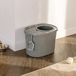 Amazon Basics Large Cat Litter Box with High