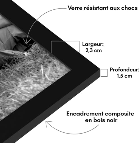 Lot de 10 Cadres Photos - Cadre Photo Multiple avec Deux 20x25 cm, Quatre 13x18 cm et Quatre 10x15 cm- Décoration Murale et Collages avec Verre Résistant aux Chocs - Noir