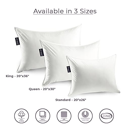 king size pillows canada
