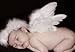 FashionWings (TM) Newborn Baby White Feather Angel Wings, Halo & Poster Set