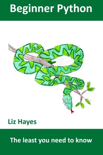 Beginner Python: The least you need to know by Liz Hayes