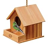 SunGrow Wooden Birdhouse: Fun DIY project for Kids: Double entrance for Easy cle