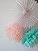 HEARTFEEL 12pcs 10 inch 8inch Tissue Paper Pom-poms Cream Mint Peach Outdoor Decoration Tissue Paper Pom Poms Party Balls Wedding Christmas Xmas Decoration Baby Shower Decor