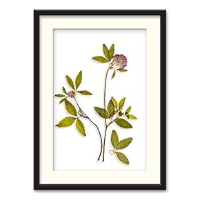 Black Paper Framed Canvas Wall Art for Living Room, Bedroom Simple Beautiful Leaves Canvas Prints for Home Decoration Ready to Hanging - 23x31 inches