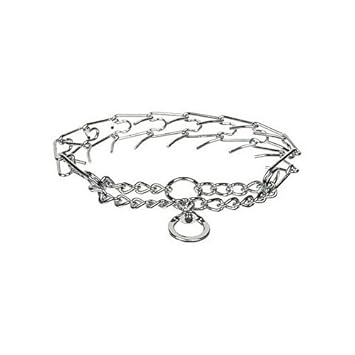 prong dog collar petco