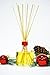 MINX Fragrances Sale! Holiday Cheer Essential Oil Reed Diffuser Gift Set Red Currant, Evergreen, Balsam Fir & Juniper Notes | Festive Christmas Fragrance | Decorative Air Freshener