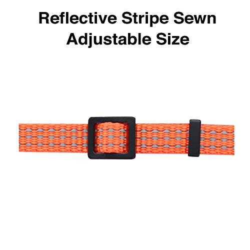 Pawtitas Reflective Cat Collar with Safety Buckle and Removable Bell Cat Collar Kitten Collar Orange Cat Collar - Thumbnail 2