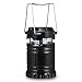 LED Lantern, TaoTronics Camping Lantern for Camping Fishing Hiking Emergency (60LM, 30 LEDs)