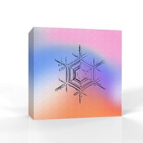 wall26 - Canvas Wall Art - Snowflake Theme...