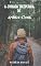 Livro A Jornada Inesperada de Amber Stone (ficção)