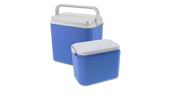 Nevera portátil de picnic de 24 o 10 litros caja con tapa de ...