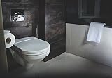 GROHE 38506000 Skate Air WC Wall Plate Dual Flush Chrome view 3