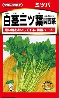 Amazon Com Gram Mitsubaミツバ 三つ葉 Wild Japanese Parsley Seed S Asfp Can Grow In Pot Or Tray Kitchen Dining