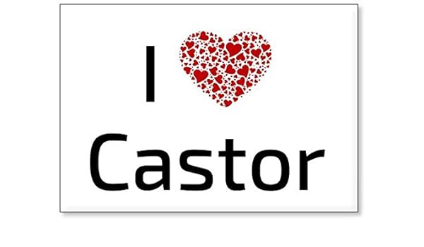 Mundus Souvenirs - Amo Castor, Imán para Nevera (diseño 1): Amazon ...