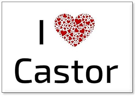 Mundus Souvenirs - Amo Castor, Imán para Nevera (diseño 1): Amazon ...