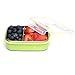 Steeltainer Leak-proof Stainless Steel Compact Size Container (Light Green)