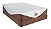 DynastyMattress 10-inch Memory Foam Mattress-Twin Size