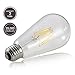 ASOKO LED Edison Light Bulb 6W 2700K Warm White Vintage Style Bulbs, ST64, Edison Light Bulbs, Vintage Bulbs LED, 60W Equivalent (6W-Clear-2700K)